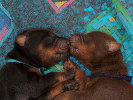 Martina Broskevi�ov�: Moje �t���tka